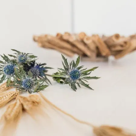 Antico Telaio לינה וארוחת בוקר סנטה מריה נברזה